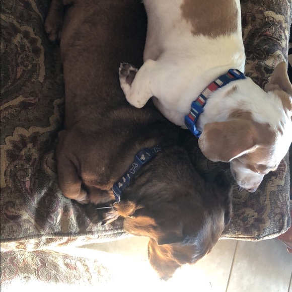 Meet your Posher, Sarah - Picture 1 of 1